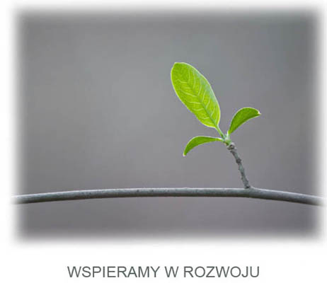 wspieramy_w_rozwoju